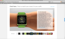 iPod nano Watch Bands